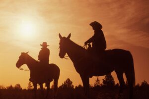 Visiting the Calgary Stampede? Why a Local SIM is Your Best Festival Companion